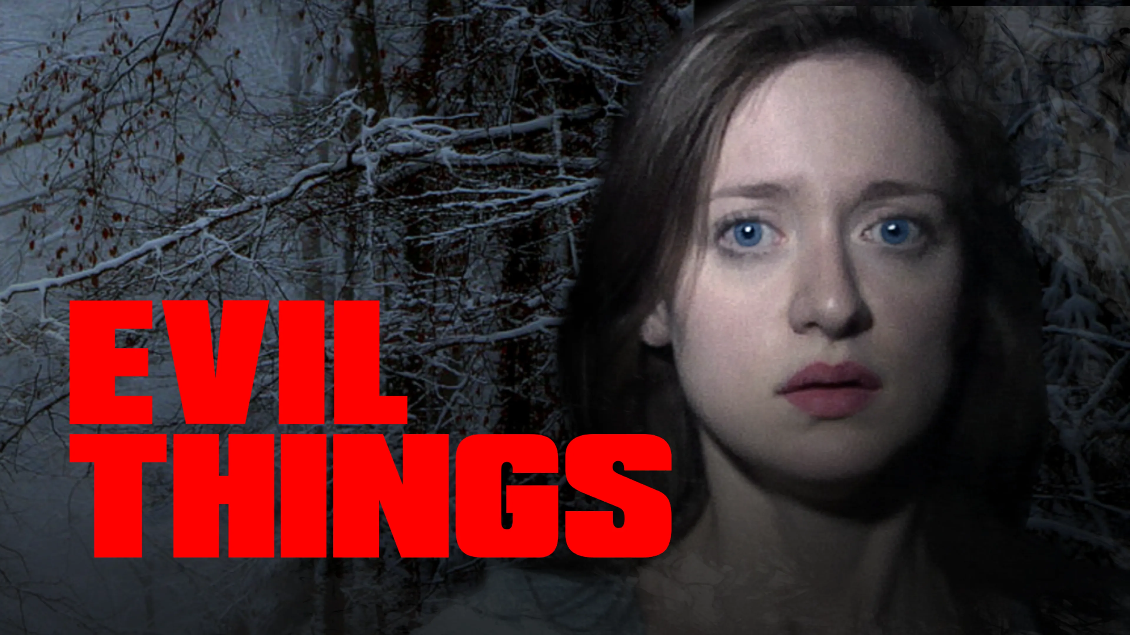 Evil Things poster